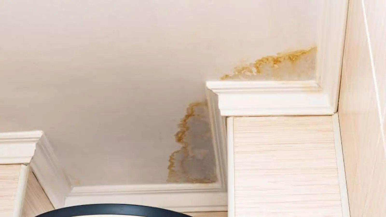 A water stain on a ceiling at the corner where it meets the crown molding