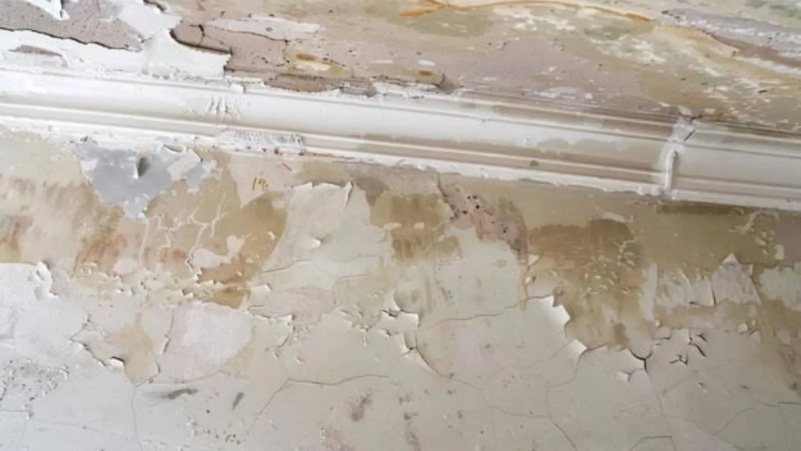 Peeling paint and water staining along the top of an interior wall
